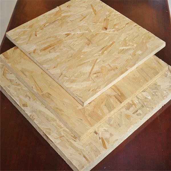 osb plywood China construction material 4
