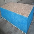 osb plywood China construction material 5