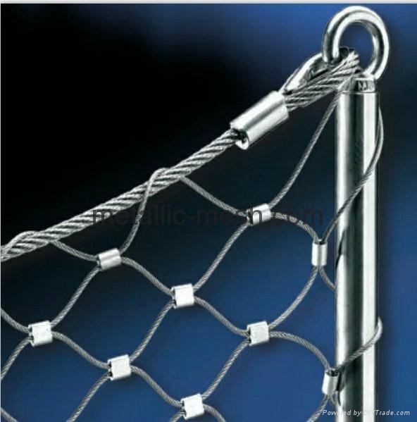 hot selling SS Wire Mesh Netting supplier