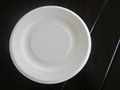 sugarcane bagasse plate 1