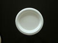 sugarcane bagasse plate 2