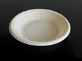 Disposable biodegradable cornstarch plate 1