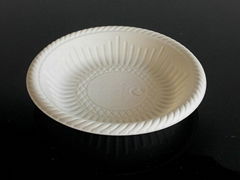 Disposable biodegradable cornstarch plate