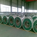 Color coated steel coil 3