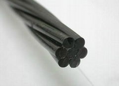 Steel Wire 