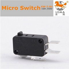 Roller lever momentary contact switch