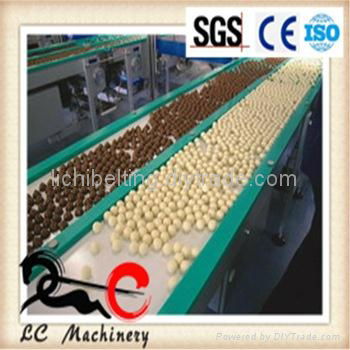 food grade pvc conveyor belt 2