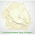 Concentrated Soy Protein 4