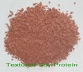 Textured Soy Protein