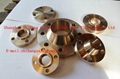 Copper Alloy Flange EEMUA 145/ANSI B16.5