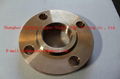 Copper Nickel Threaded Flange