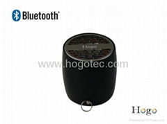 Portable Bluetooth speaker