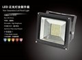 Dimmable LED Floodlight HNS FS100W 5 years Quality Guarantee 