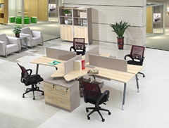 Steel Frame office partition