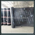 Flexible sbs waterproof roofing membrane