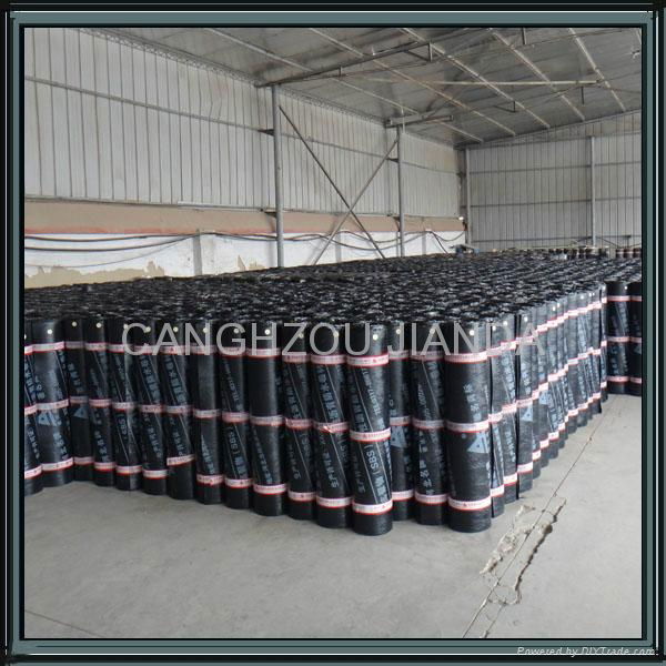 APP/SBS Modified Bitumen Color Sand Waterproof Membrane 5