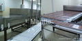 chocolate molding line