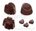 chocolate poly mould 2
