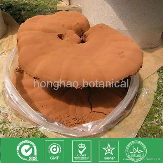 Reishi Powder  2