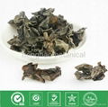 Dried black fungus mushroom and dried fungus 1