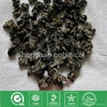 Organic edible black fungus mushroom 1