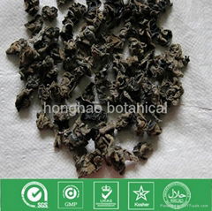 Organic edible black fungus mushroom