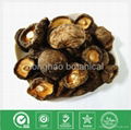 Dried Mushroom (Shiitake) 1