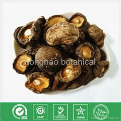 Dried Mushroom (Shiitake)