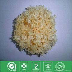 Dried white fungus Tremella