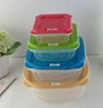 SET OF 5 STROAGE CONTAINER 3