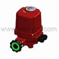 Mini Intelligent Valve Actuator