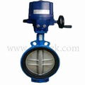 Electric Control Ball Valve 1