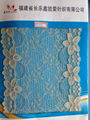 Jacquard Lace 1