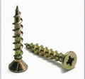 Chipboard Screw 1