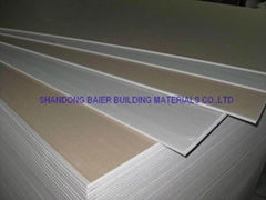 Standard Gypsum Board