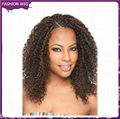 African Fashion Wig 1