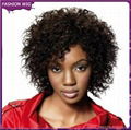 2014 Perfect Style African Fashion Wig