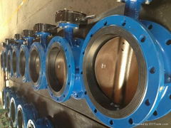 double flange butterfly valve