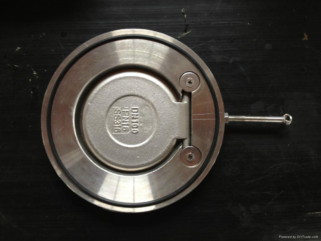 single disc wafer check valve