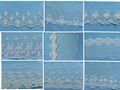 Cotton Lace 1