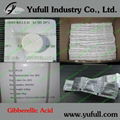 Plant growth regulator Giberellic Acid 10% tablet 1