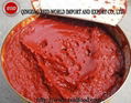 canned tomato paste 1