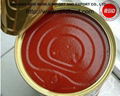 tomato paste