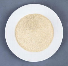 Dehydrated garlic granules 40-80mesh