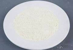 Dehydrated garlic powder 100-120mesh