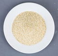 Dehydrated garlic granules 26-40 mesh 1