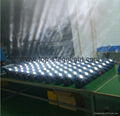 White LED Beam Moving Head 8X10W 2