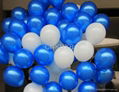 10inch 2.2g pearlized color latex balloon  1