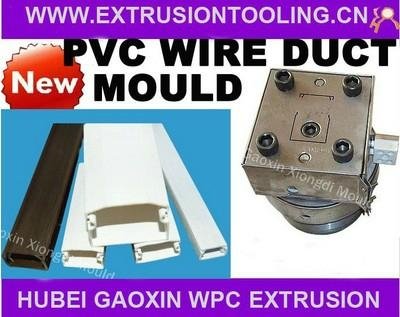 PVC Wire Duct Extrusion Moulds Made in China 2