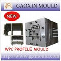 Hot Sale WPC Wall Panel Mould Made in